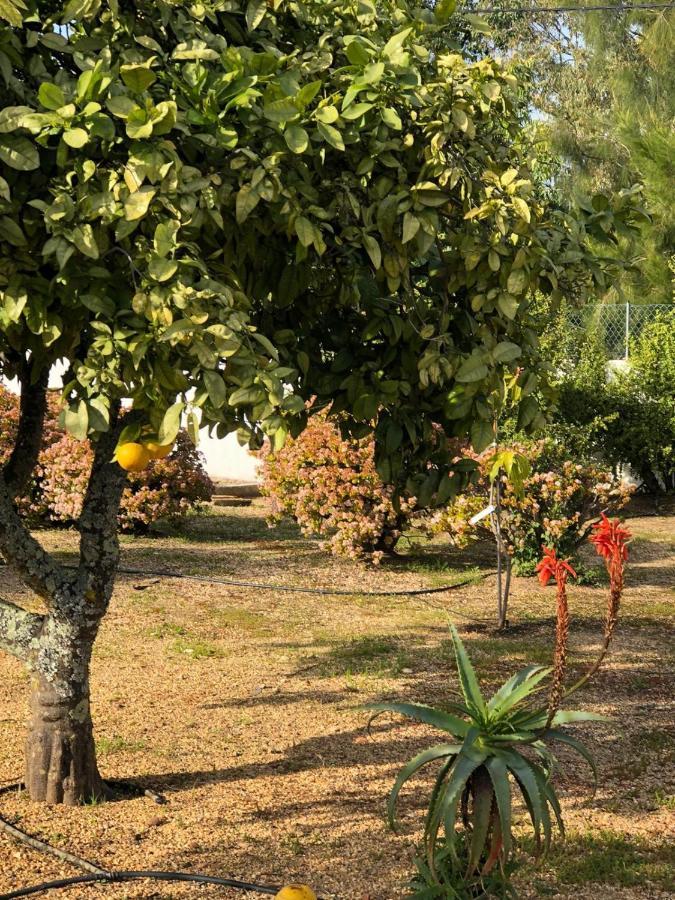 Quinta Verde Албуфейра Екстериор снимка