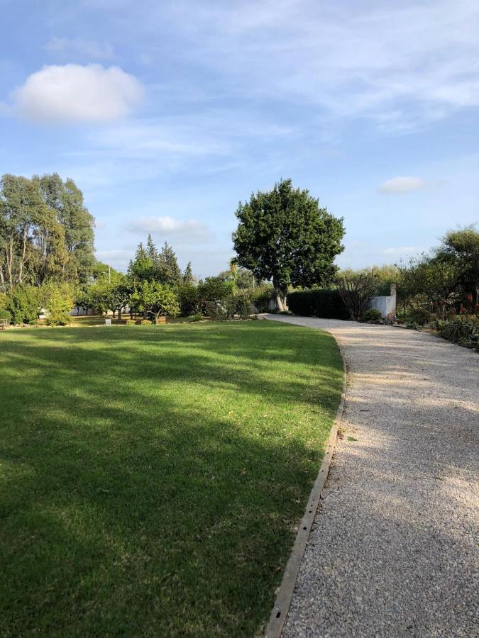 Quinta Verde Албуфейра Екстериор снимка
